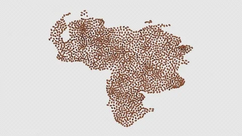 Venezuela Coffee Beans Stock Footage 152735128