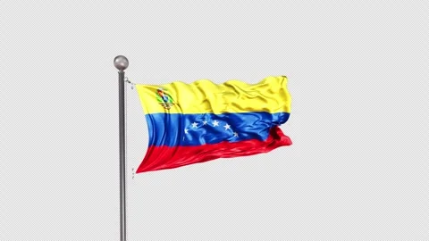 Venezuela Flag  Animation Loop Include Alpha 3D Rendering Stock-Footage 312115979