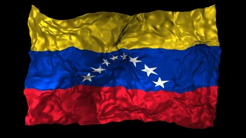 Venezuela flag Stock Footage 110869067