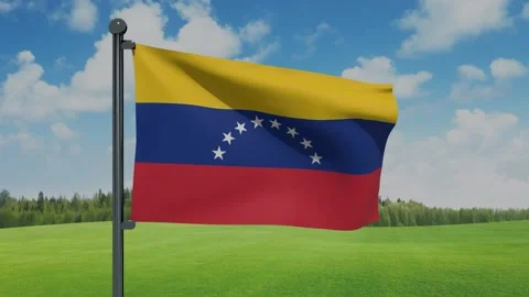 Venezuela Flag Stock Footage 153256834