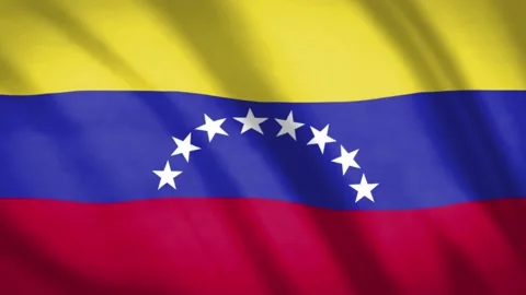 Venezuela Flag  Stock Footage 188181013