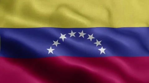Venezuela flag Front Stock Footage 318670670