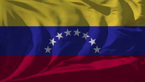 Venezuela Flag Loop Stock Footage 295744088