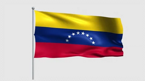 Venezuela flag - Pack 1 Stock Footage 342290019