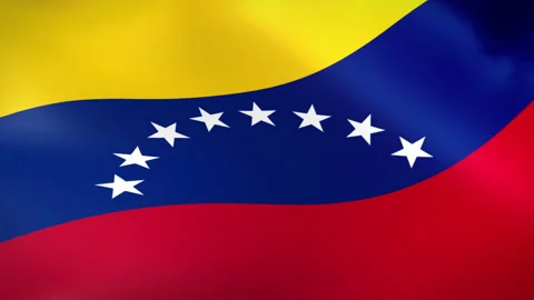 Venezuela flag - Pack 2 Stock Footage 342289580