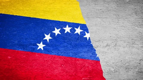 Venezuela Flag Painting On The Wall Video stock 102403018