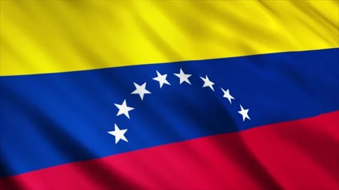 Venezuela Flag waving in the wind Stock Footage 236435625
