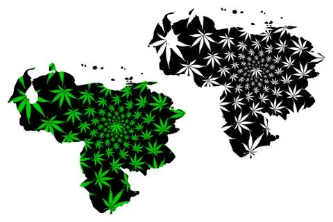 Venezuela - map is designed cannabis leaf Stock Illustration