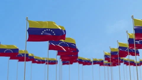Venezuela Row Of Flags Animation Видео 148804705