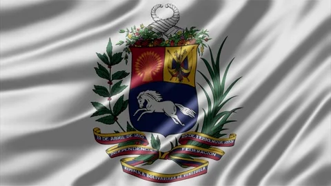 Venezuela state coat of arms displayed on a waving fabric flag Stock Footage 345147235