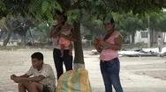 Venezuelan Migrant Family Under A Tree Stock Footage