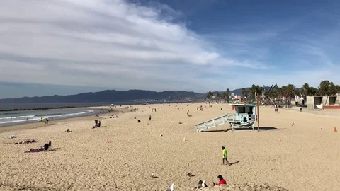Venice Beach in 4K Stock Footage