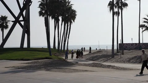 Venice Beach Bicycle Path - People Riding Bikes Stock Footage 38155378