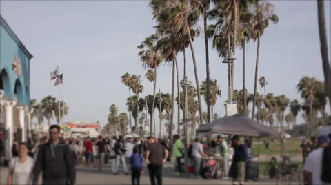 Venice Beach Boardwalk 스톡 동영상 50190786