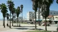 Venice Beach California HD Footage