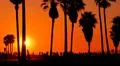 Venice Beach crowds and sunset palm trees California USA Photo