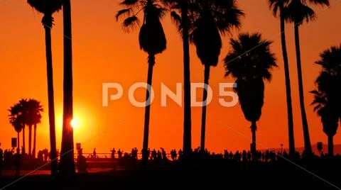 Venice Beach crowds and sunset palm trees California USA Stock Photos