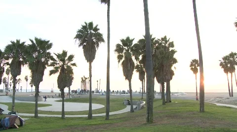 Venice Beach Video stock 597208