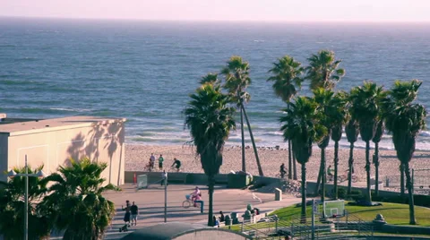 Venice Beach Stock Footage 35344800