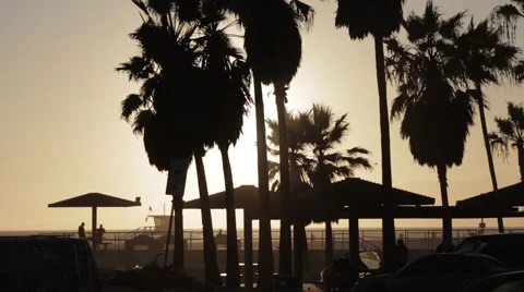 Venice Beach Stock Footage 50811078