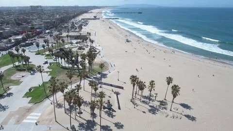 Venice beach Stock Footage 78208024