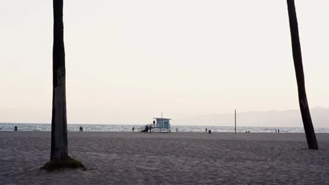 Venice Beach  Stock Footage