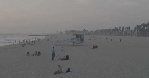 Venice Beach Stock Footage 168952875