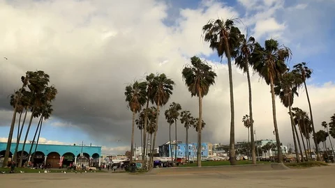 Venice Beach low angle of incoming storm Vídeos de archivo 86387300