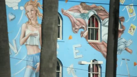 Venice Beach Mural 2 Stock Footage 11360388