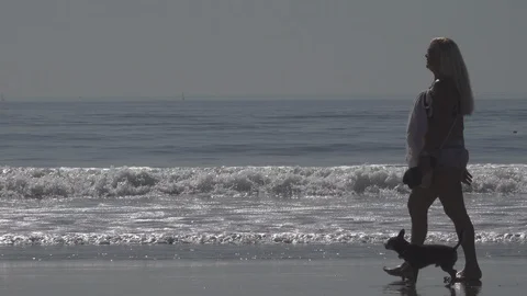Venice Beach small waves break.  Woman walks by with small dog￼￼. Stock Footage 121243205