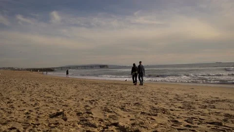 Venice beach ,sprigtime Stock Footage 234067582