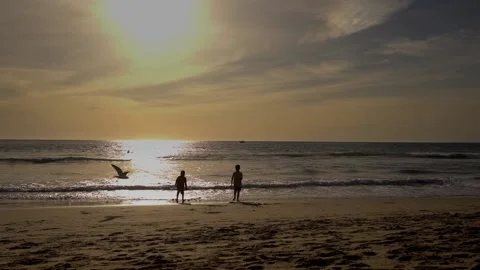 Venice beach ,sprigtime Stock Footage 234067585
