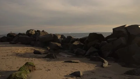 Venice beach ,sprigtime Stock Footage 234067657