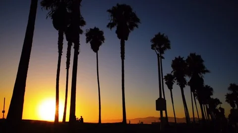 Venice beach sunset Stock Footage 118018393