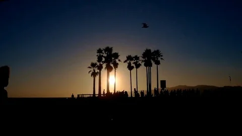 Venice Beach Sunset Time Lapse  People silhouette and Palm trees Stock Footage