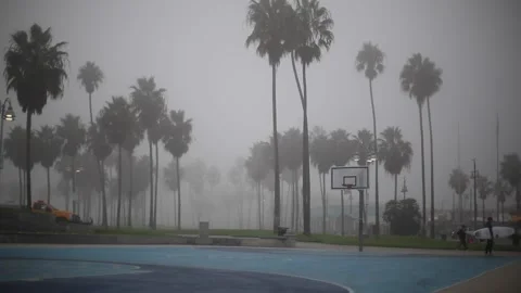 Venice Beach, surfer Stock-Footage 143579277