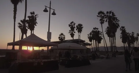 Venice Beach  - Tracking Along Palm Trees With Shadow Of Vendors In Foreground Stock Footage 86245651