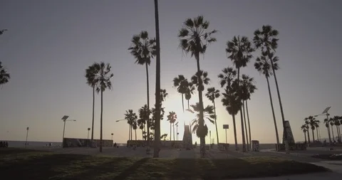 Venice Beach - Tracking Towards Venice Public Art Graffiti Walls Stock Footage 86242976