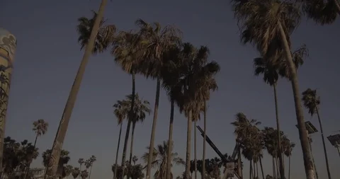 Venice Beach - Tracking Towards The Venice Public Art Graffiti Walls Stock Footage 86244074