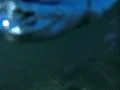 Venice Beach Underwater Ocean Waves 01 Slow Motion 240fps California Footage