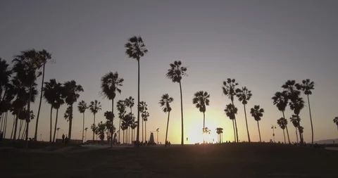 Venice Beach - Wide Tracking Towards The Venice Skatepark Stock Footage 86245302