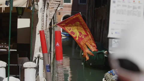 Venice flag 動画素材 161081706