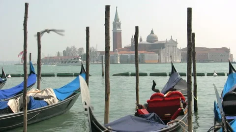 Venice Video stock 3476882