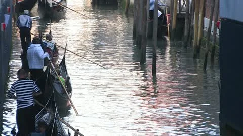Venice Video stock 11901800