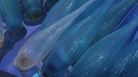 Venice Видео 11914244