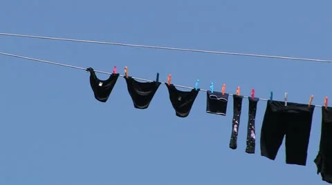 Venice 動画素材 11914712