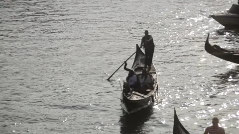 Venice Stock Footage 137550305