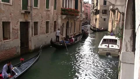 Venice Stock Footage 229486036