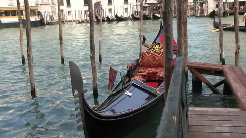 Venice Stock-Footage 229707767