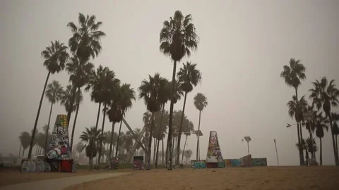 Venice General Scenic Stock-Footage 143579297